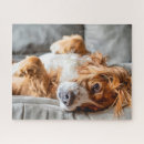Recherche de cocker spaniel puzzles Mignon
