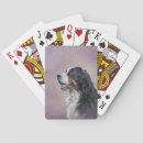 Recherche de bernese jeux de cartes Mignon