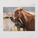 Recherche de morsures cartes postales Animal