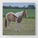Recherche de peinture cheval horloges Équestre