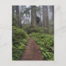 Recherche de raymond cartes postales Parc