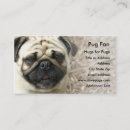 Recherche de ride cartes visite Chien