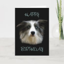 Recherche de border collie anniversaire cartes Colley