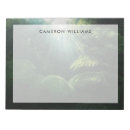 Recherche de fougères blocsnotes Nature