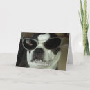 Recherche de terrier de boston cartes postales Pour lui