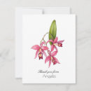 Recherche de orchidee rose vœux cartes Orchidées