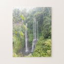 Recherche de bali puzzles Nature