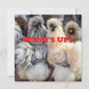 Recherche de oiseau drôle vœux cartes Poule