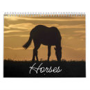 Recherche de chevaux de deux calendriers Poney