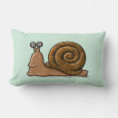 Recherche de escargots coussins Insecte