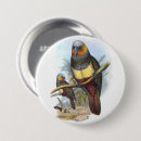Recherche de perroquet vert badges Animal
