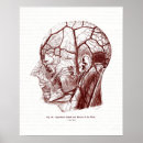 Recherche de vieilles illustrations posters Antique