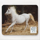 Recherche de équin tapis souris Cheval