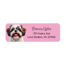 Recherche de tzu de shih Dog