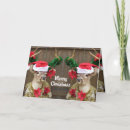 Recherche de partie de plouc Noël