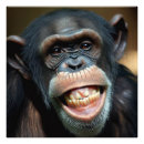 Recherche de chimpanzés posters Drôle