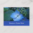 Recherche de hortensia bleu cartes visite Jardin