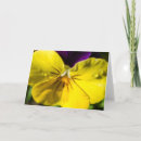 Recherche de baisse de pluie vœux cartes Jaune