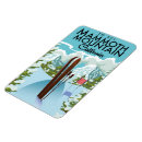 Recherche de mammouth magnets Ski