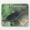 Recherche de papillon machaon tapis souris Noir