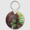 Recherche de recycle accessoires Conservation