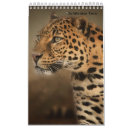 Recherche de leopard calendriers Tigre