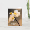 Recherche de orchidée blanche vœux cartes Pour tous