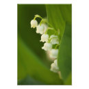 Recherche de muguet art Nature