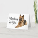 Recherche de chiot berger allemand vœux cartes Mignon