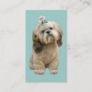 Recherche de shih tzu cartes visite Chien