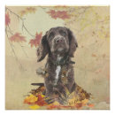 Recherche de cocker spaniel posters Animal de compagnie