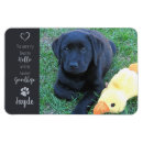 Recherche de chiens et chats magnets Dogs