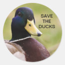 Recherche de chasse oiseau autocollants Faune
