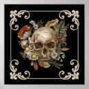 Recherche de crâne animal posters Squelette