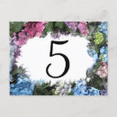 Recherche de hortensia bleu cartes postales Botanique