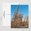 Recherche de anastasia cartes postales Plage
