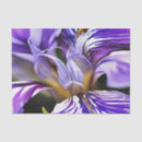 Recherche de botanical tissue paper Fleur
