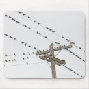 Recherche de autour de électronique Nature
