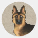 Recherche de alsacien autocollants Gsd