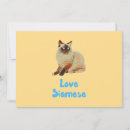Recherche de chaton siamois invitations Félin