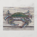 Recherche de crabe bleu cartes postales Maryland