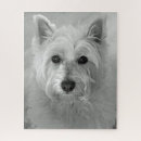 Recherche de chien westie puzzles Blanc