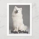 Recherche de américain anniversaire cartes Dog