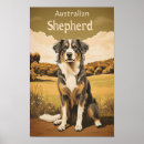 Recherche de berger australien posters Animal