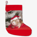 Recherche de animaux familiers chaussette de noël Vacances