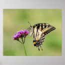Recherche de squelettes animaux posters Animal