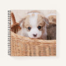 Recherche de corgi carnets Animal de compagnie
