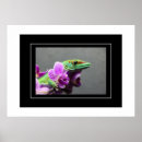 Recherche de geckos posters Reptiles
