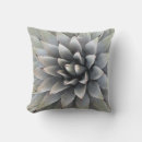 Recherche de agave coussins Plante
