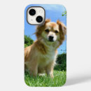 Recherche de photo de jardin iphone coques Photographie
